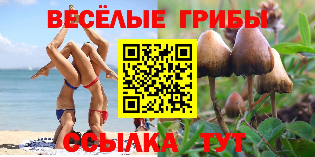 Борзя  Галлюциногенные грибы GOLDEN TEACHER  Вход с VPN 